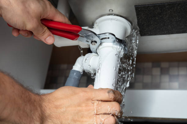 Best Local water damage restoration  in Takoma Park, MD