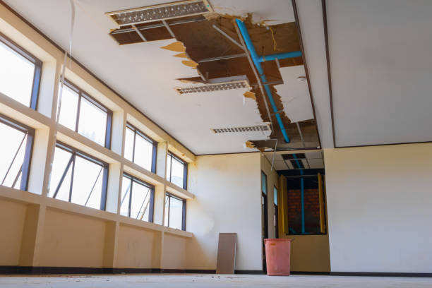 Reliable Takoma Park, MD Water damage restoration Solutions