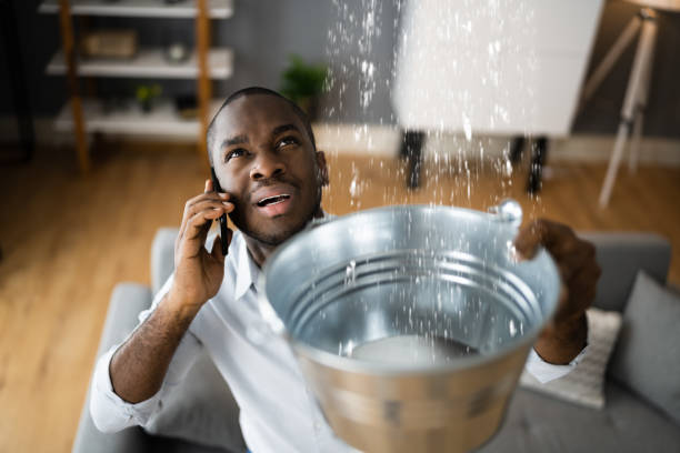 Best Water damage cleanup near me  in Takoma Park, MD