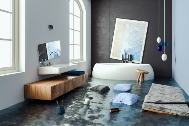 Best Flood restoration services  in Takoma Park, MD