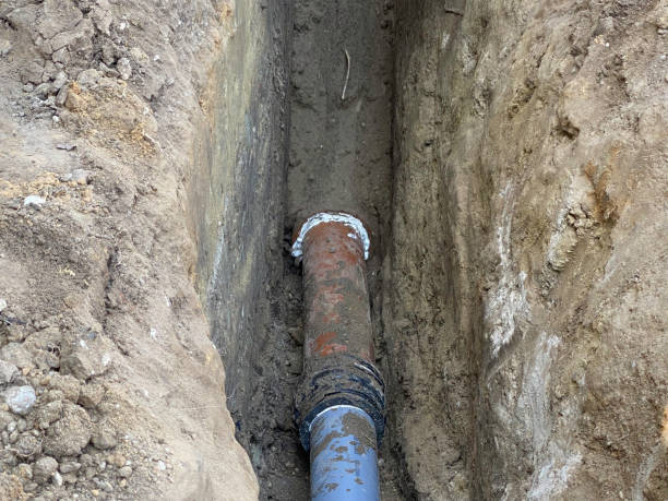 Best Flood damage cleanup  in Takoma Park, MD