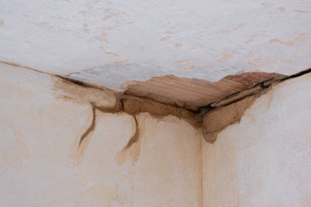Best Basement water damage restoration  in Takoma Park, MD