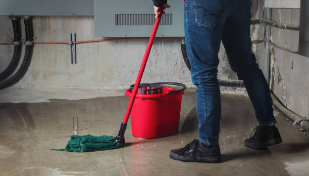 Best Sewage cleanup and water damage restoration  in Takoma Park, MD