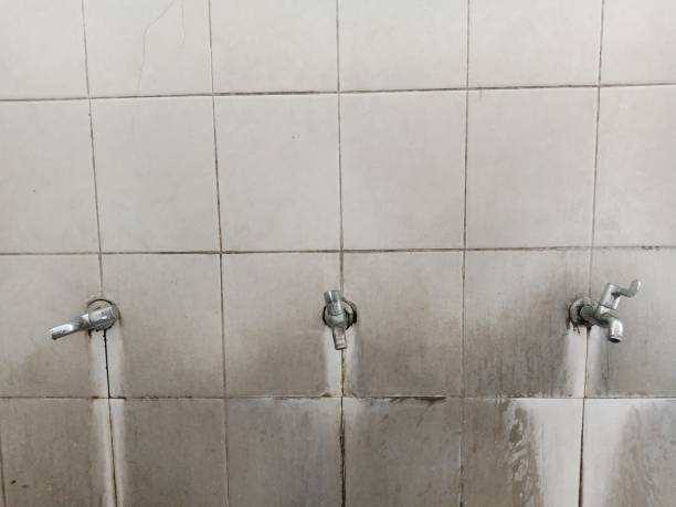 Takoma Park, MD Water damage restoration Pros