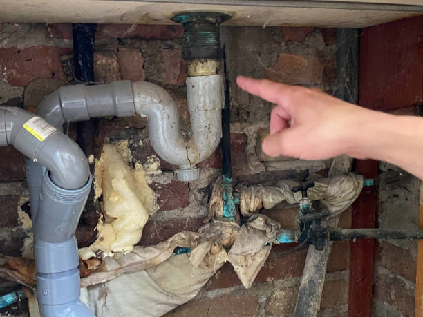 Best Mold removal after water damage  in Takoma Park, MD