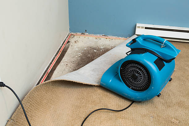 Best Residential water damage restoration  in Takoma Park, MD